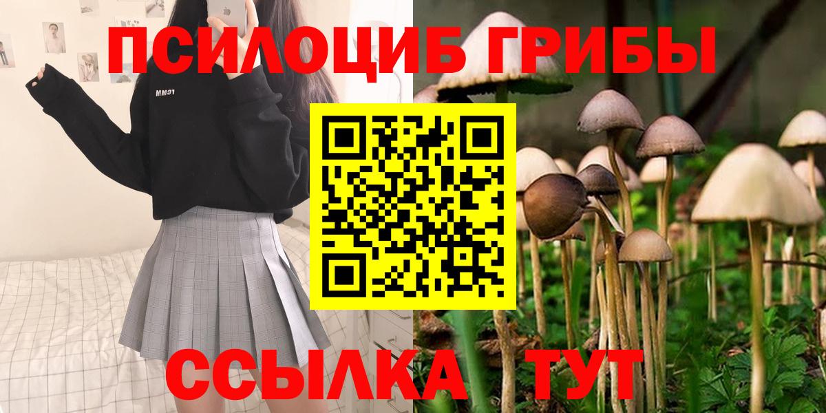Галлюциногенные грибы Psilocybine cubensis Конаково