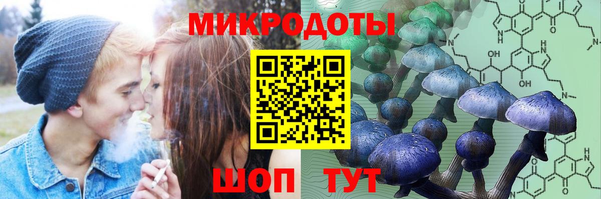 Псилоцибиновые грибы прущие грибы  Псилоцибиновые грибы ЛСД  Конаково  Вход с VPN 